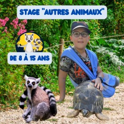 Stage Autres animaux (8-15...