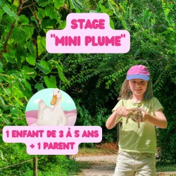 Stage Mini-plume