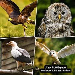 Stage duo "Rapaces"...